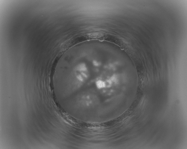 X0000066540745200603241411