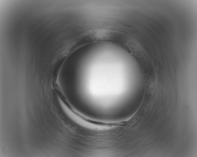 X0000066540746200603241411