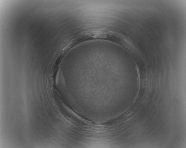 X0000066540748200603241411