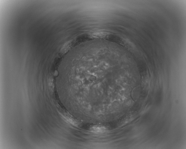 X0000066540749200603241411