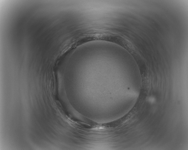 X0000066540750200603241411