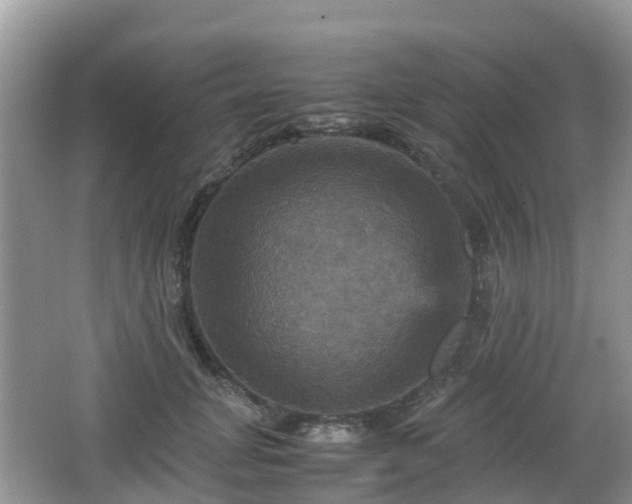 X0000066540751200603241411