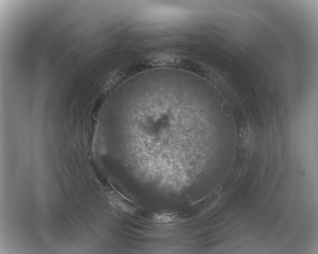 X0000066540753200603241411