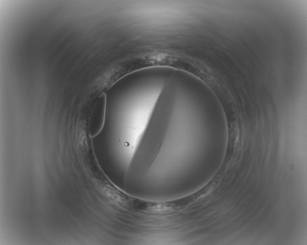 X0000066540754200603241411