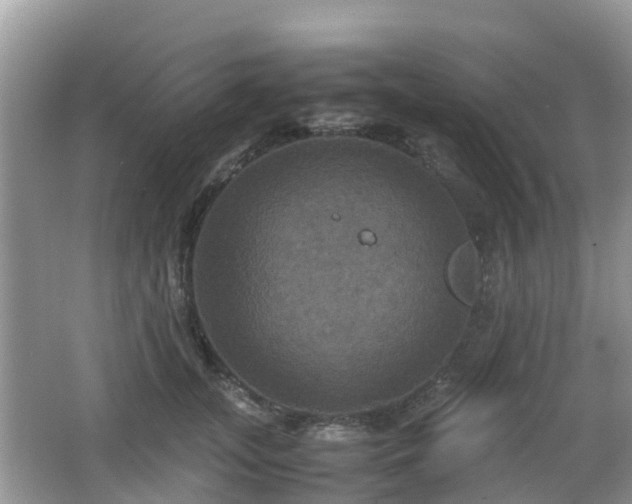 X0000066540755200603241411