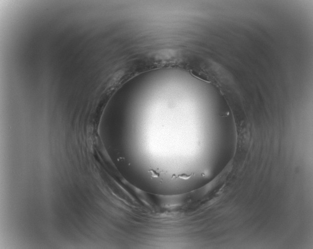 X0000066540756200603241411