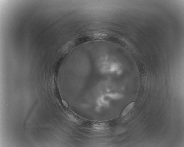 X0000066540757200603241411