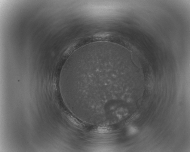 X0000066540758200603241411