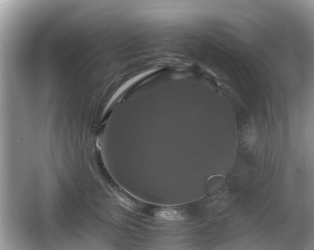 X0000066540759200603241411