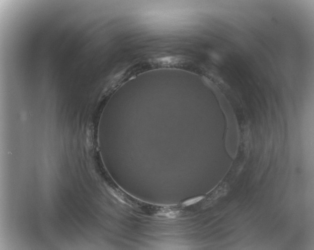 X0000066540760200603241411