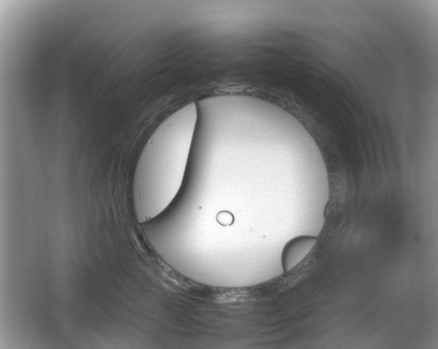 X0000066540761200603241411