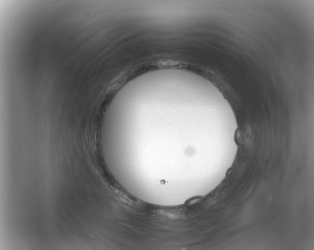 X0000066540763200603241411