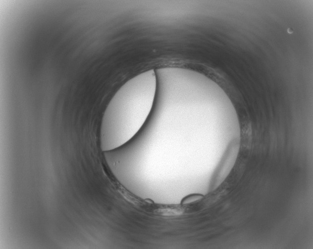 X0000066540765200603241411