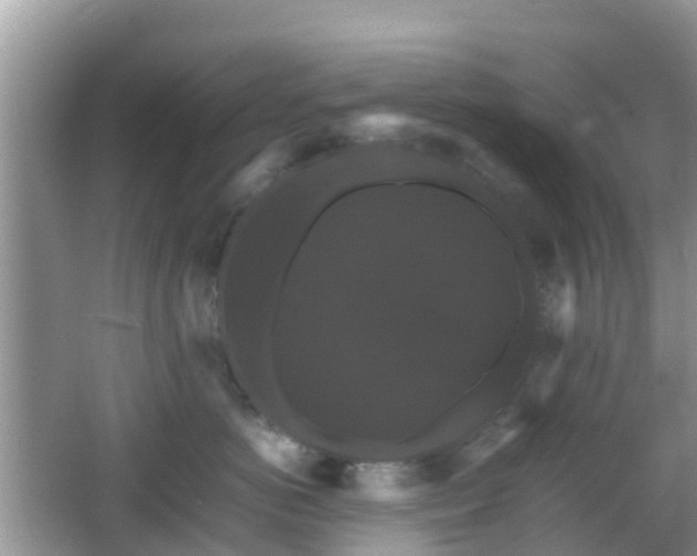 X0000066540766200603241411