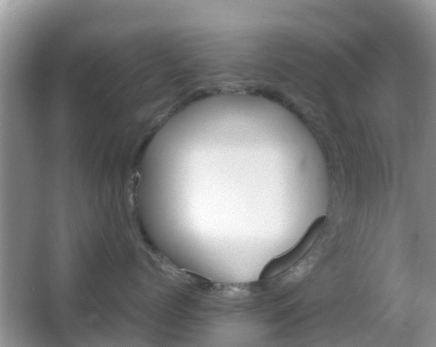 X0000066540768200603241411