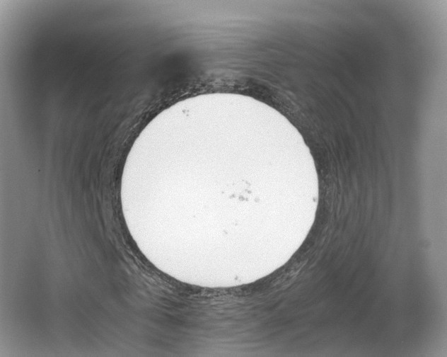 X0000066540769200603241410