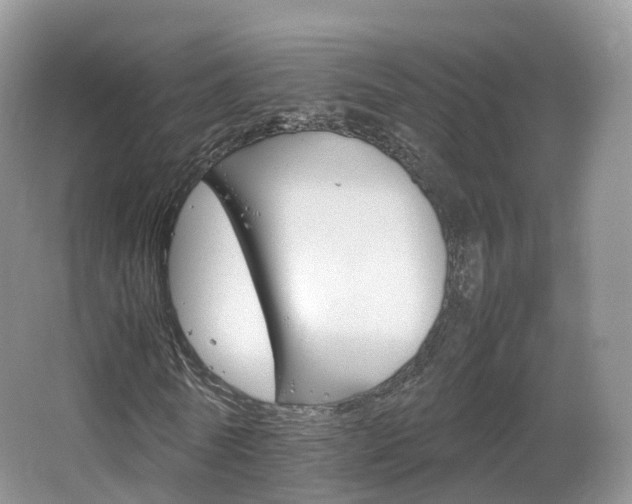 X0000066540770200603241410