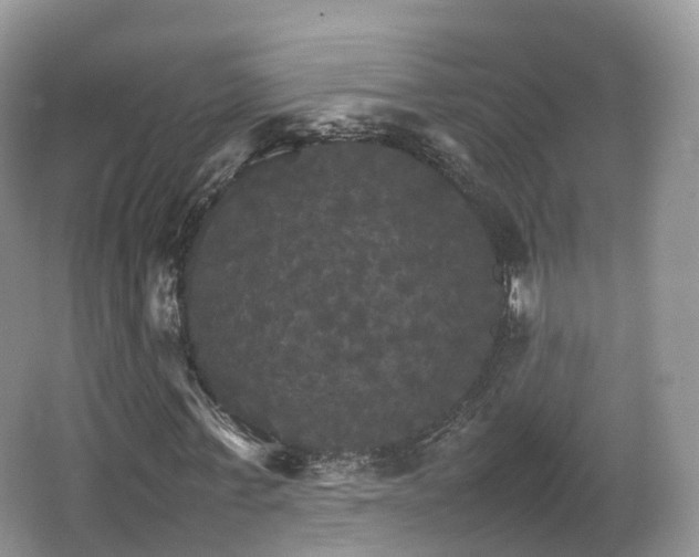 X0000066540771200603241410