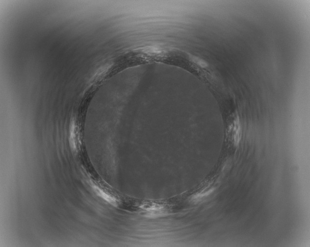 X0000066540772200603241410