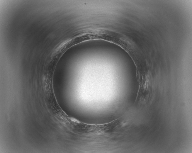 X0000066540773200603241410