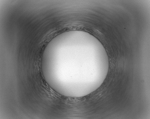 X0000066540774200603241410