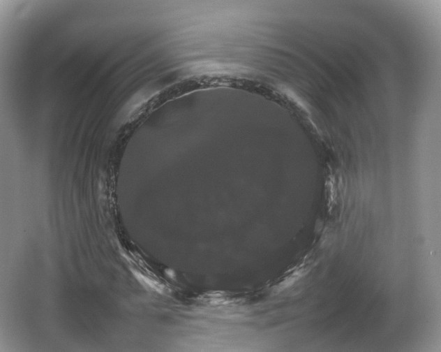 X0000066540775200603241410