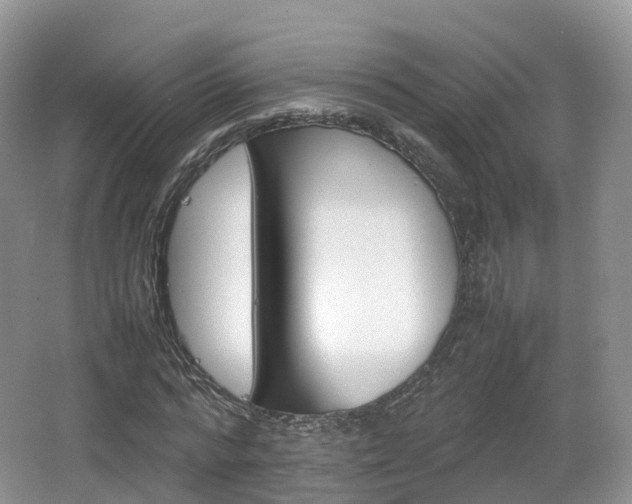 X0000066540776200603241410