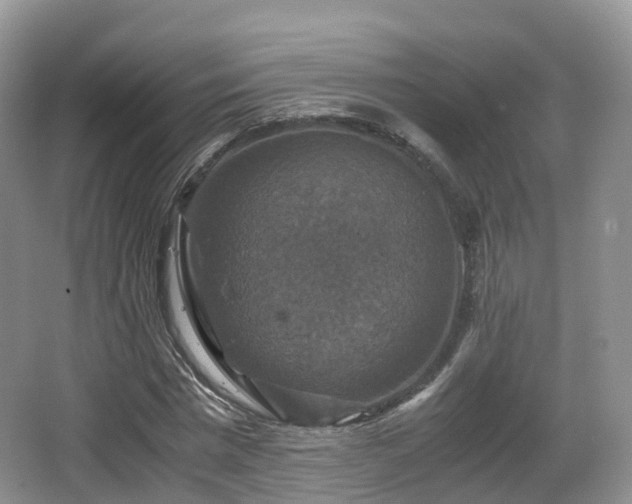 X0000066540777200603241410