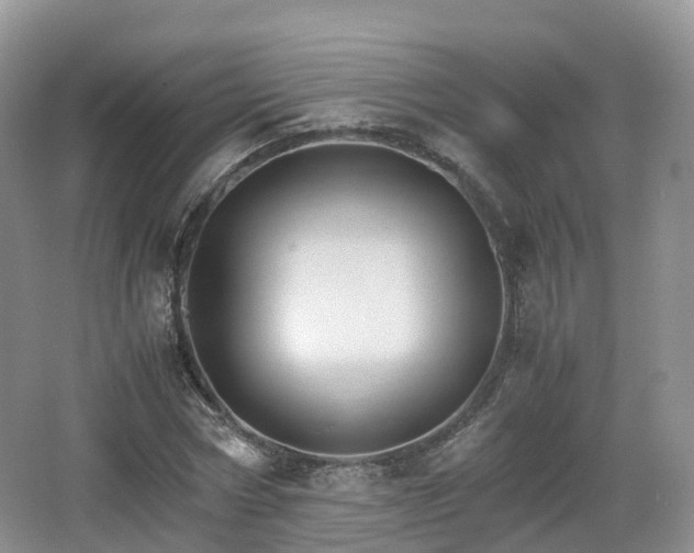 X0000066540778200603241410