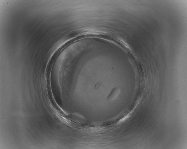 X0000066540779200603241410