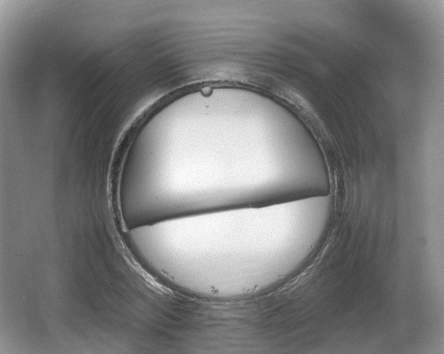 X0000066540780200603241410