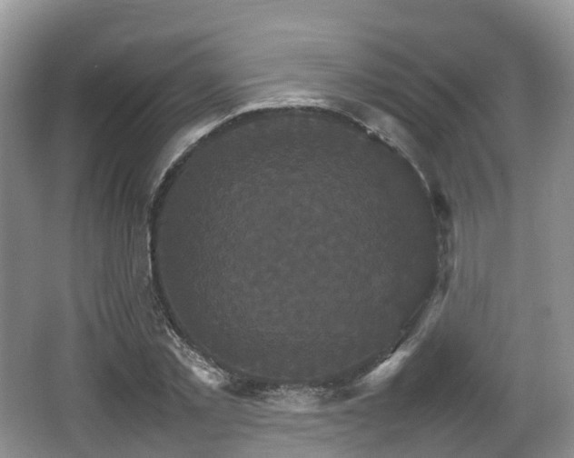 X0000066540781200603241410