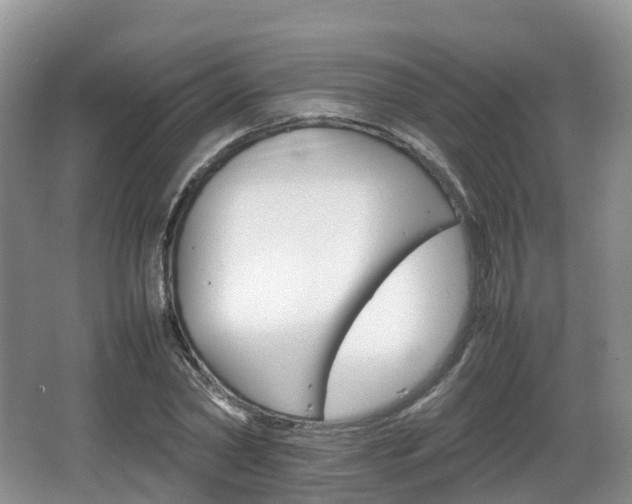 X0000066540782200603241410