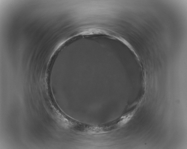 X0000066540783200603241410