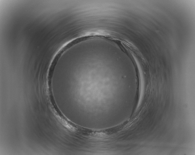 X0000066540784200603241410