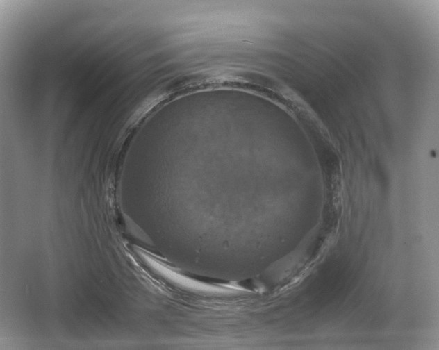 X0000066540785200603241410