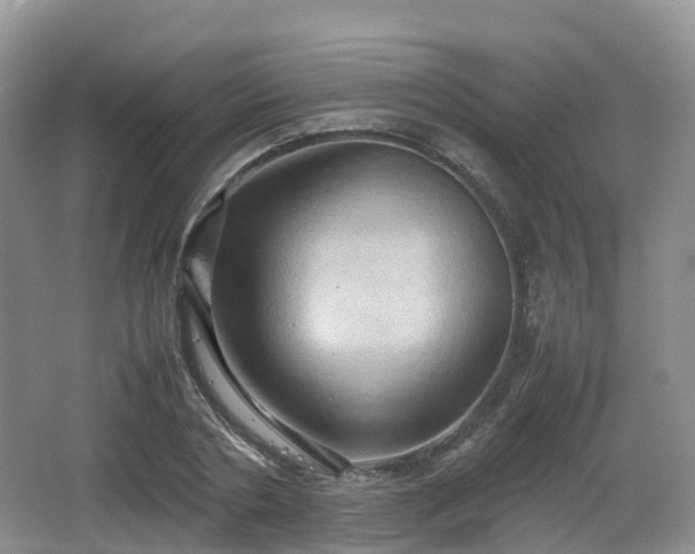 X0000066540786200603241410