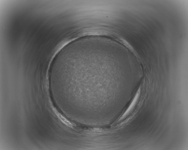 X0000066540787200603241410