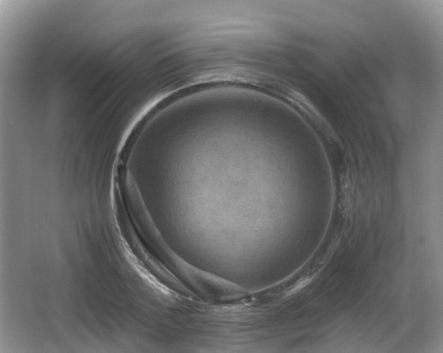 X0000066540788200603241410