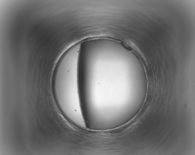 X0000066540789200603241410