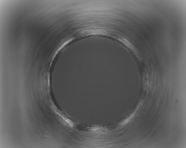 X0000066540790200603241410