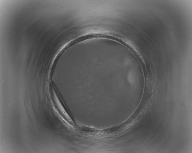 X0000066540791200603241410