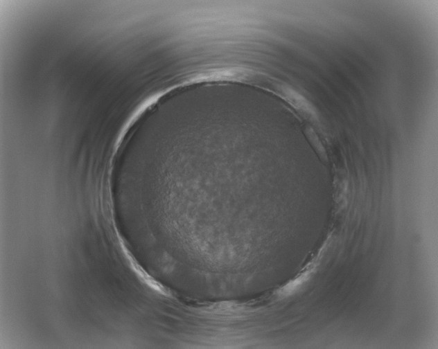 X0000066540792200603241410