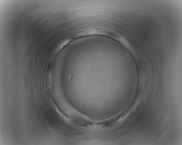 X0000066540793200603241410