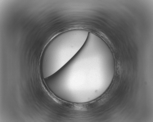 X0000066540794200603241410