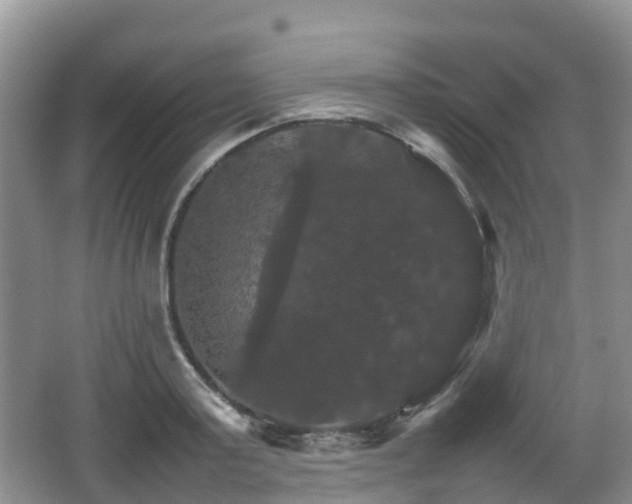 X0000066540795200603241410