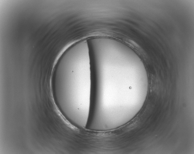 X0000066540796200603241410