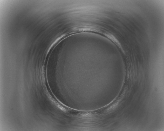 X0000066540798200603241410