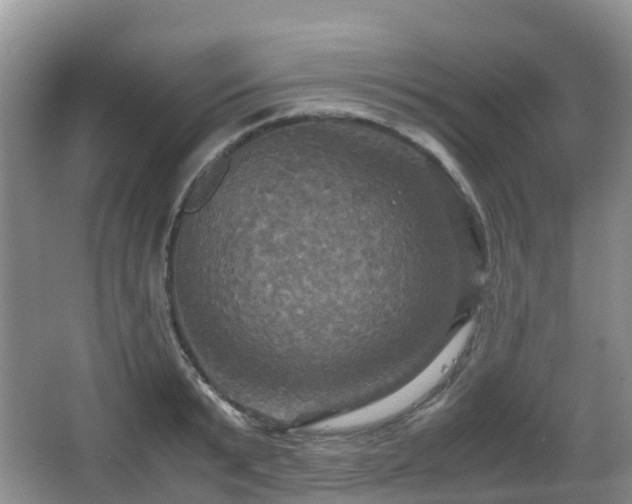 X0000066540799200603241410