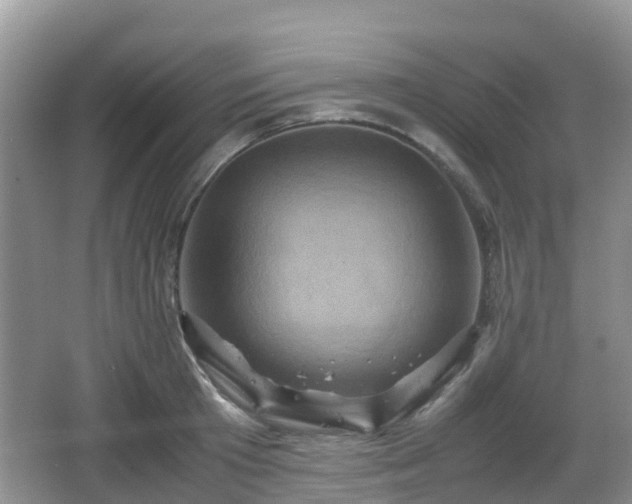 X0000066540801200603241410